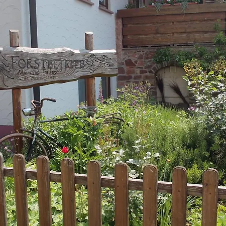 شقة Haus Am Bergli هيربلتسهايم