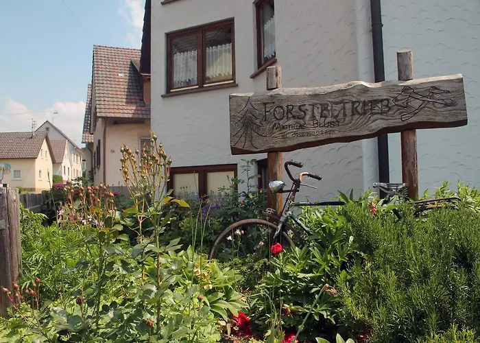 Апартаменты Haus Am Bergli