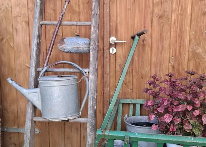 Апартаменты Haus Am Bergli *